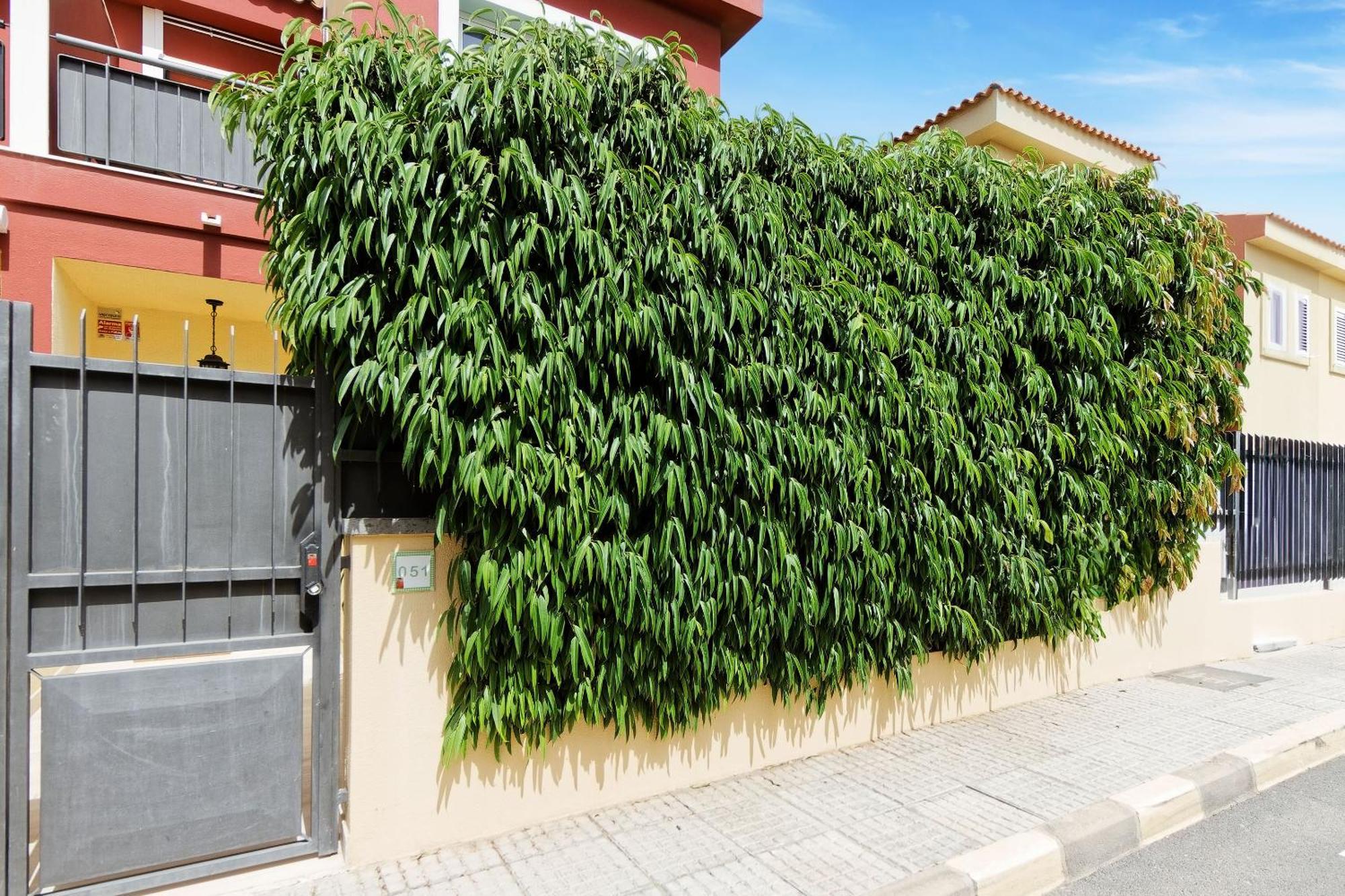 Villa Anil Meloneras San Bartolome Bagian luar foto